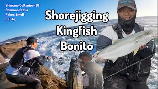 Shorejigging Kingfish Bonito