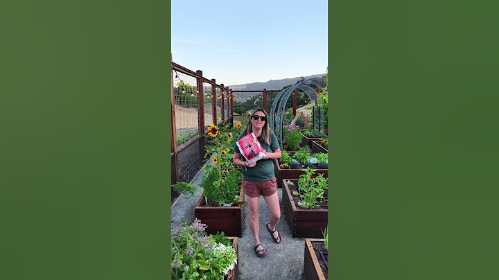 🍓 Everyone asks me how my strawberries taste this sweet... The right berry fertilizer makes all the