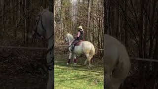 První Krůčky K Piffě - Sestřih