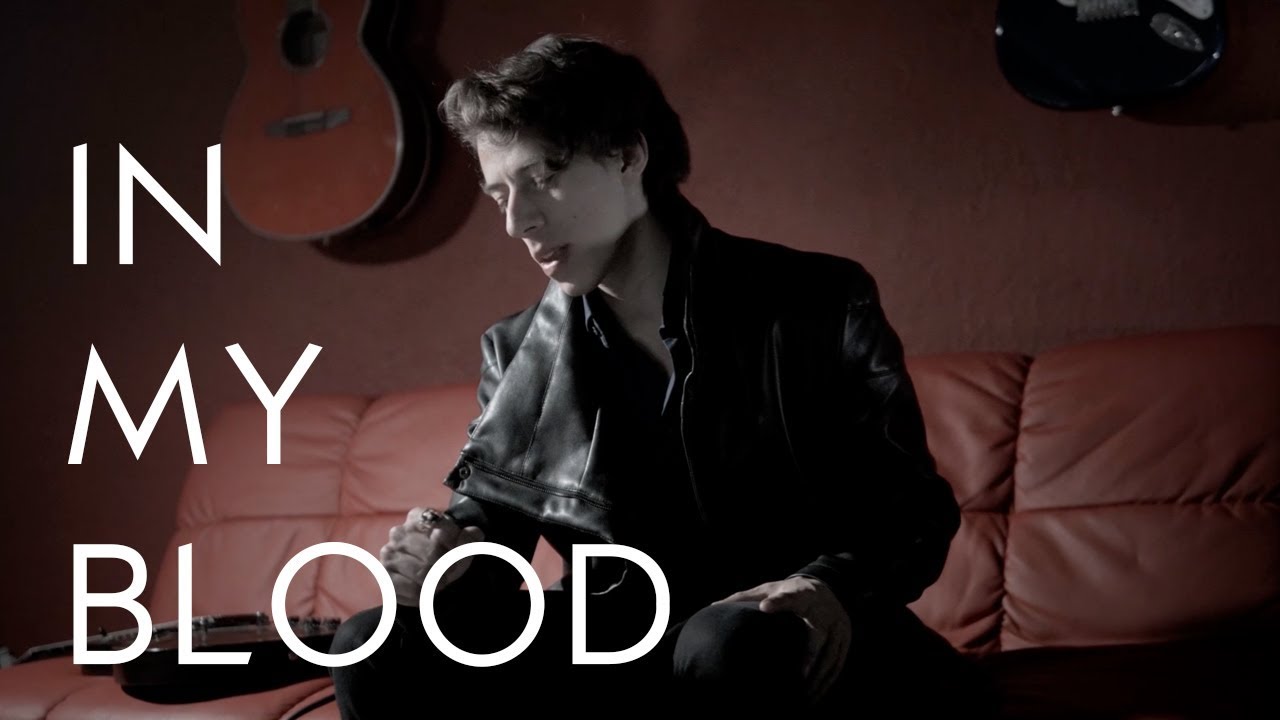 Shawn Mendes In My Blood Karaoke