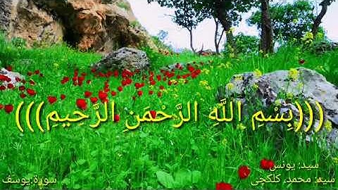 سيد يونس كلكجي سورة يوسف.