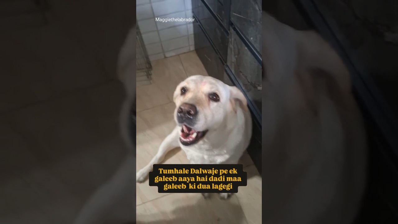 Galeeb ki dua lagegi daadi maa 