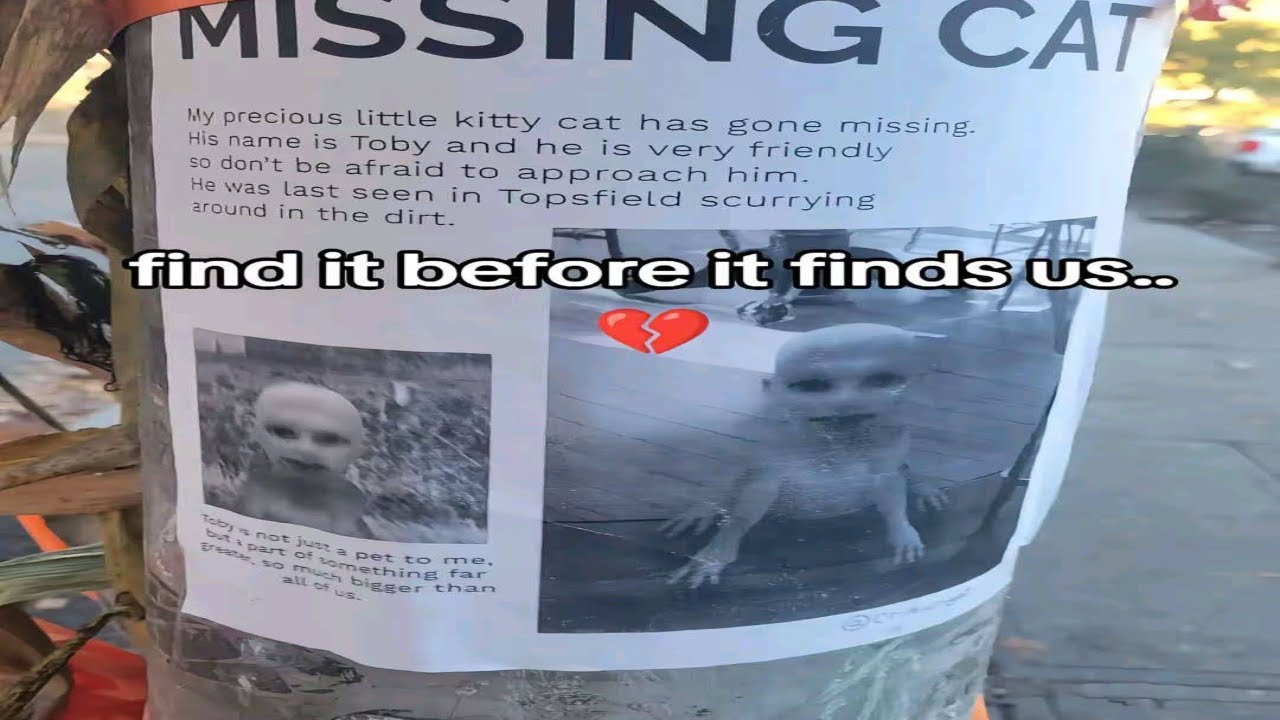 DESOLATE by Billzer 100% (extreme demon)