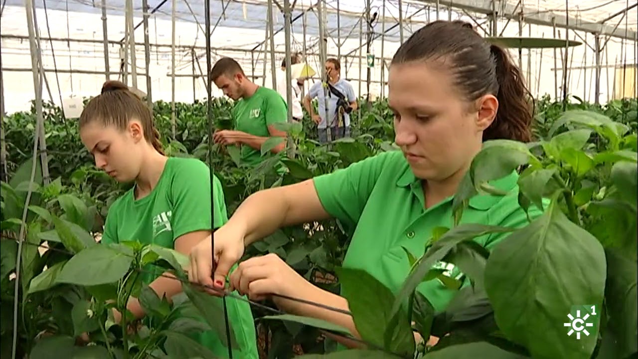 Tierra y Mar |  Formación de jóvenes agricultores en Vícar