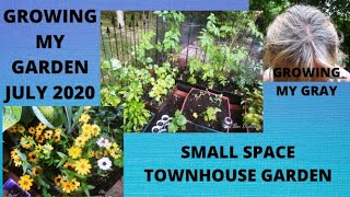 SMALL SPACE GARDENING 2020 // WHAT TO PLANT IN JULY // CONTAINER VEGGIE GARDENING // GROWING MY GRAY