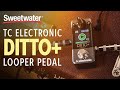 Гитарная педаль эффектов TC Electronic Ditto+ Looper
