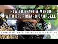 How to Graft a Mango Tree w/ Dr. Richard Campbell