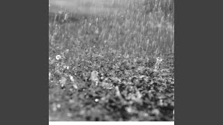 Play in the Rain Net Worth