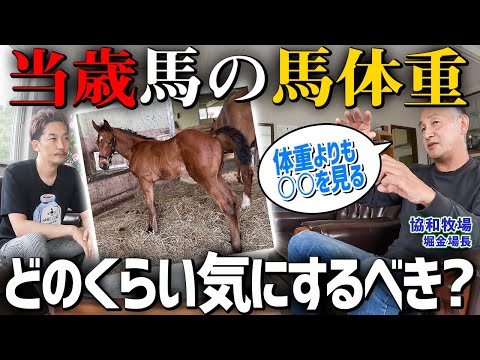 Special Edition in Collaboration with Kyowa Farm] How Much Should