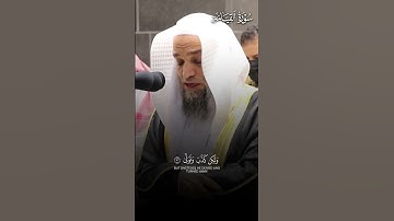 ما تيسر من سورة القيامة | تلاوة بديعة لفضيلة الشيخ أ.د.#فيصل_غزاوي حفظه الله