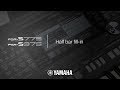 PSR S975 775 Half Bar Fill In Function PSR S975 775 Half Bar Fill In Function