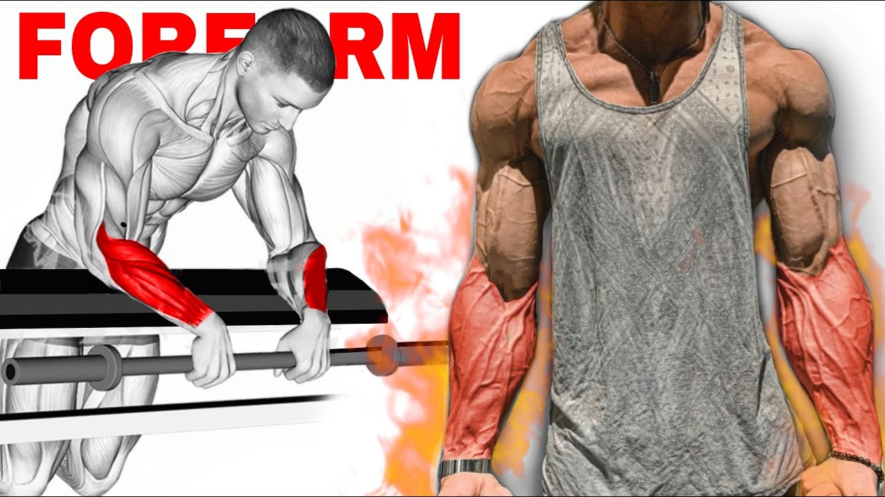 14 Variações de Exercícios Para Aumentar o Antebraço