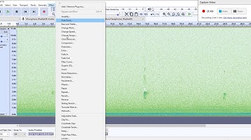 NocMig - Audacity Processing