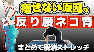 300万回再生された「痩せない原因の反り腰と猫背」を同時に解消するストレッチ！【8分まとめ】