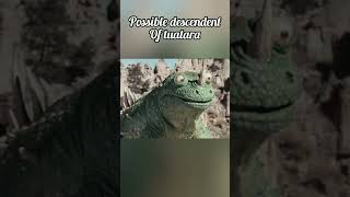 tuatara descendent