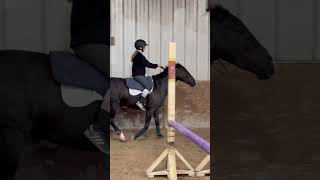 When Your Trying To Film A Sequence For A Brand And Your Pony Just Thinks Your Being To Serious