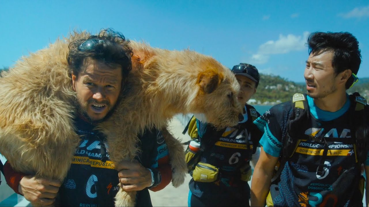 True Story! The Dog Follows Them for 400 Miles and Saves Their Lives ...