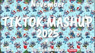 Tiktok Mashup November 💙2025💙 (Not Clean)