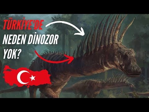 Türkiye'de neden dinozor fosili yok?!