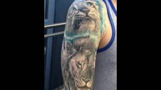Healed Tattoo Sleeve by Mario Hartmann