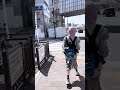 京急線🚃北久里浜 とっとこhalca日記 -鉄道シリーズ117-