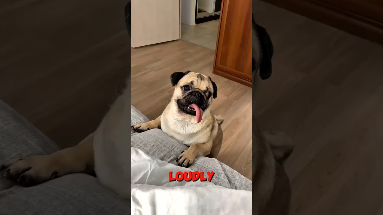 Max Fooled Mom 😨😱