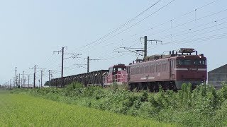 【JR貨物】１１５２レ ＥＦ８１-４０３+ＨＤ３００-２７ムド付き 大牟田専貨