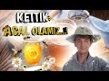 Kettik Asal olamiz | Asal arichilik | Mazzali Asal