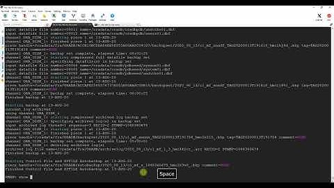 PART 2 -  Multitenant DB Upgrade from 12c to 19c using DBUA