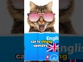 Learn Order of Adverbs in English | Tips to Use English with a Native Touch #enhanceenglish