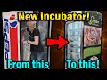 Turning an old Pepsi Fridge into a Snake Incubator!