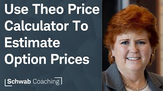 What If? Estimating Option Prices For Changes in Price, Time, and Volatility | Long Options