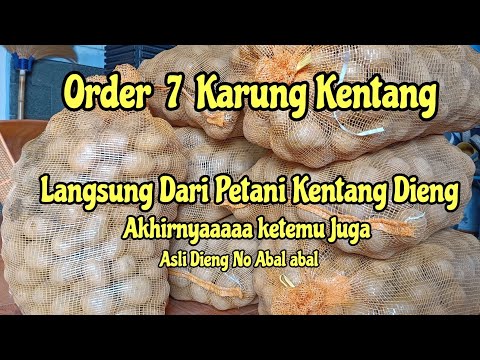 Kentang Dieng 1kg