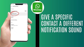 How To Give A Specific Contact A Different Notification Sound On WhatsApp