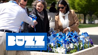 The BUZZ - Pinwheel Garden 2025 Profile