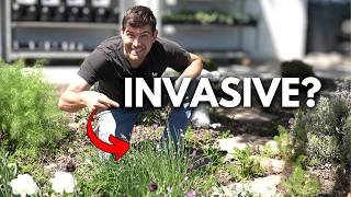 Keep These Crops From Taking Over Your Garden! @MIgardener