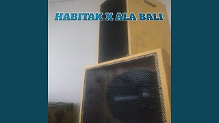 HABITAK X ALA BALI (Instrument)