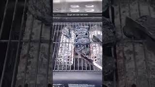Barbecue is done, Memes, Try not to laugh 😂