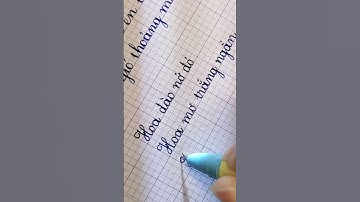 Bút mực Sao Thiên S206-định vị tay cầm chuẩn form từ đầu #shorts #butmucsaothien #buthocsinh