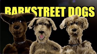 Barkstreet Dogs  Backstreet Dogs