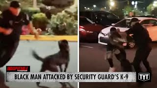 Security Guard Who Sicced A K9 On Black Male Gets REDUCED Charge