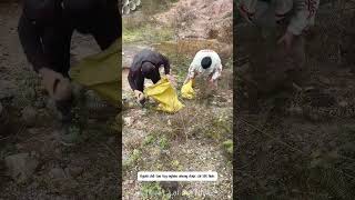 Sửa con đường bị hỏng.