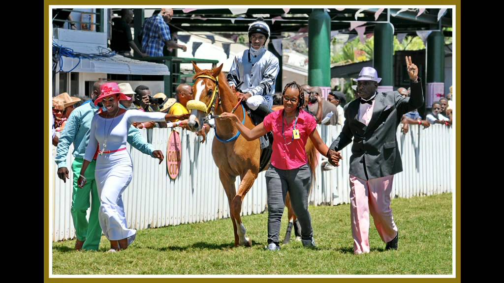 barbados-horse-racing-at-the-garrison-savannah-racing-first-season