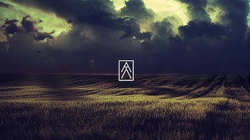Unknown Fields