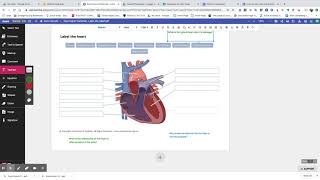How to Flatten Annotations in Kami