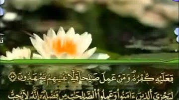 الختمة المرتلة برواية ورش عن نافع     عمر القزابري الجزء الحادي والعشرون