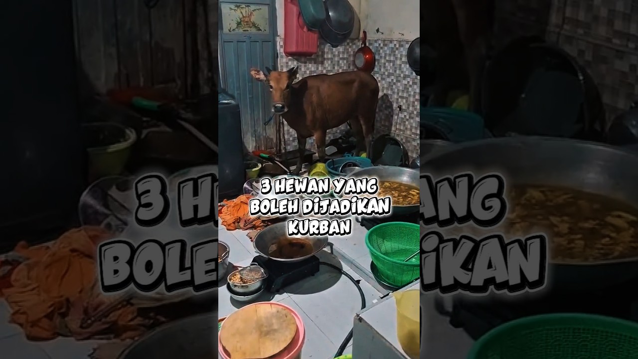3 Hewan kurban selain Sapi dan Kambing #iduladha2026 #kurban