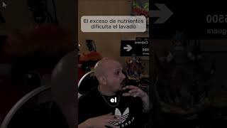 Las raices hay que lavarlas y no excederse de nutrientes