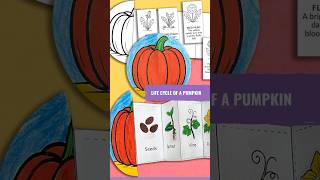 Pumpkin Life Cycle for Kids | Learn How Pumpkins Grow!