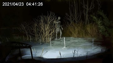 2 Hours of Most Disturbing Camping Encounters Caught on Camera Vol. 14